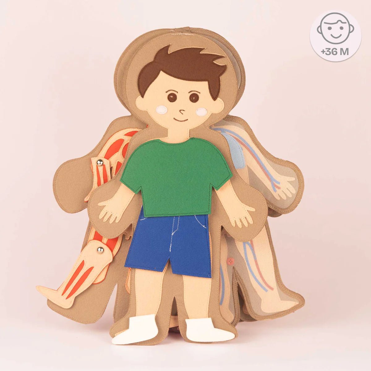 Jolly Designs Travel Buddy Mein Körper - Jungen Jolly Designs - malmichbuntbest.com