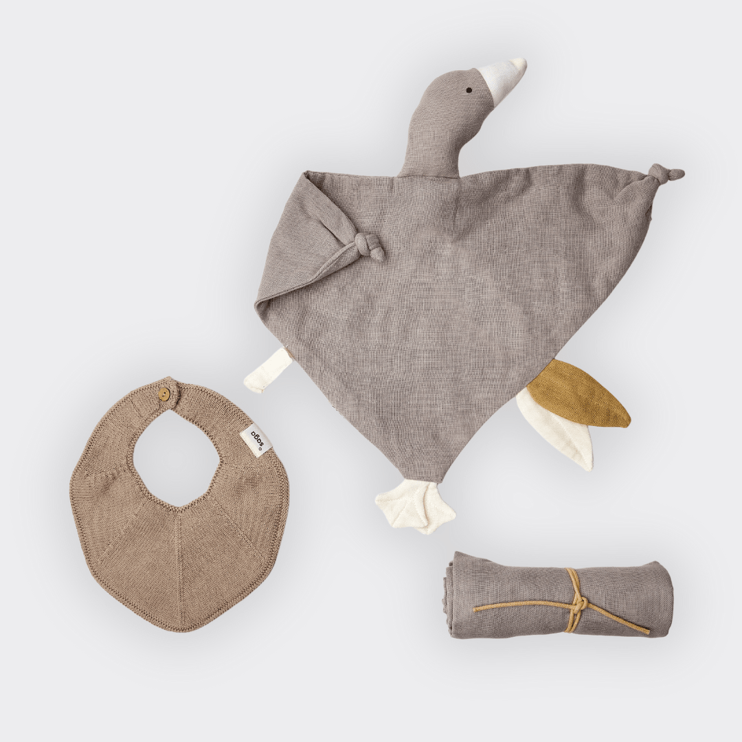 Baby - Geschenkbox - "Tiny Paws" - Nachhaltig & Bio Saga Copenhagen - malmichbuntbest.com