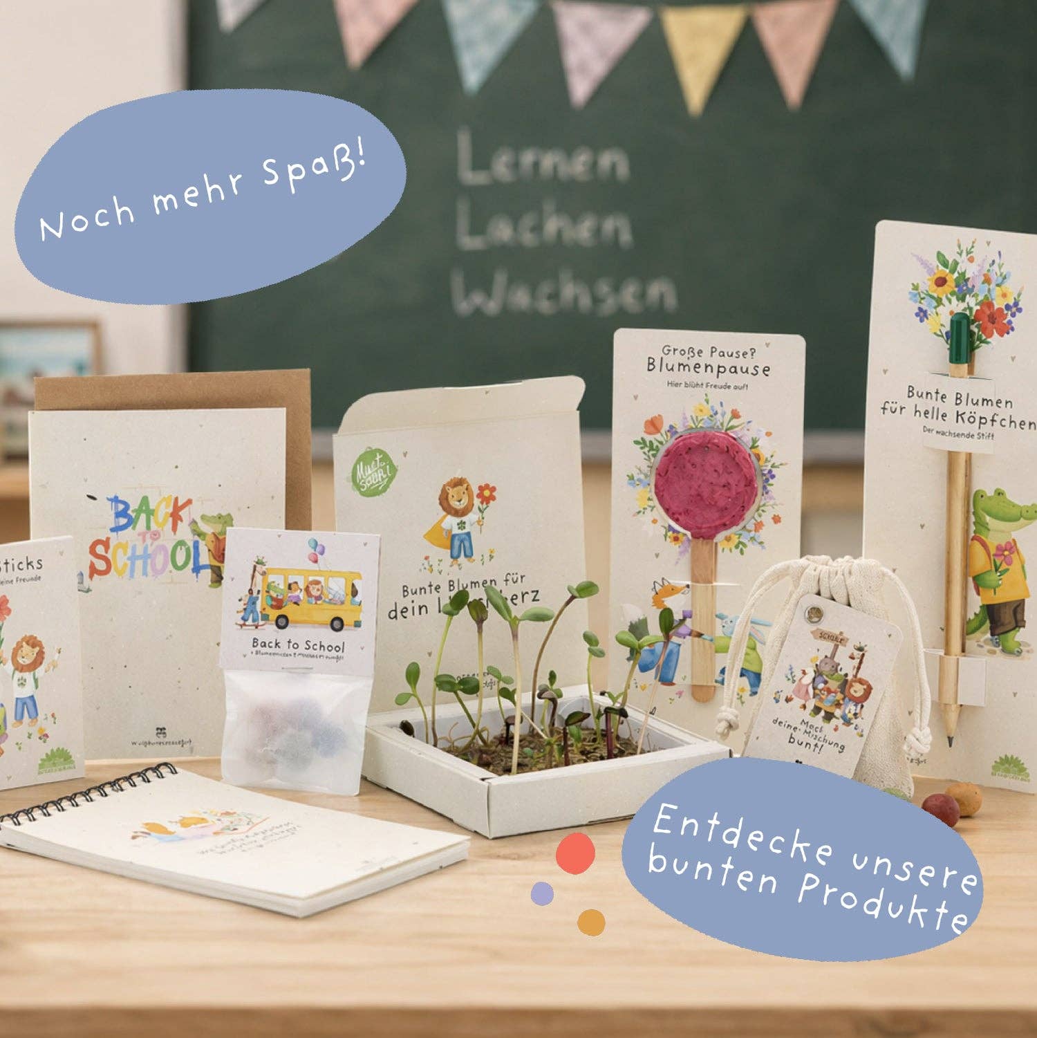 Back-to-School, Pflanzkästchen – Mutblumen TDJ Stadtgärtner GmbH - malmichbuntbest.com