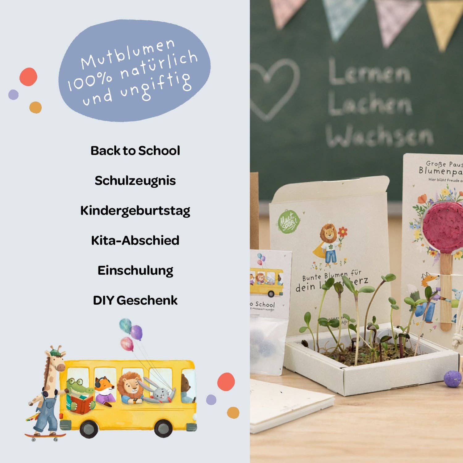 Back-to-School, Pflanzkästchen – Mutblumen TDJ Stadtgärtner GmbH - malmichbuntbest.com