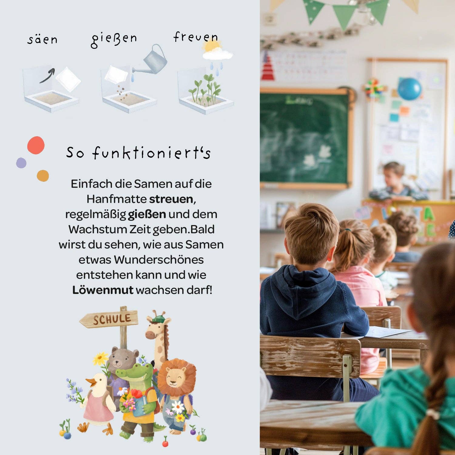 Back-to-School, Pflanzkästchen – Mutblumen TDJ Stadtgärtner GmbH - malmichbuntbest.com