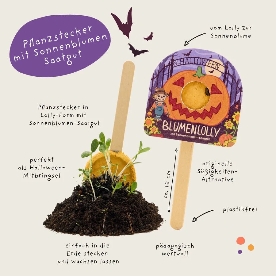 Halloween - Blumenlolly - Sonnenblume TDJ Stadtgärtner GmbH - malmichbuntbest.com