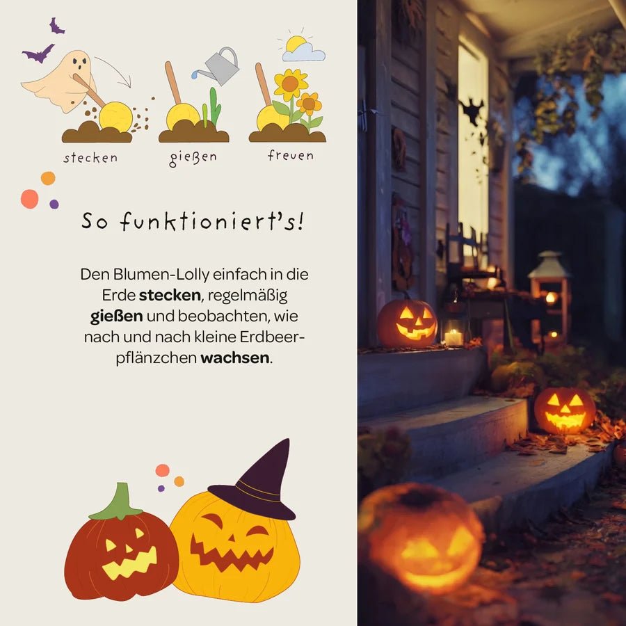 Halloween - Blumenlolly - Sonnenblume TDJ Stadtgärtner GmbH - malmichbuntbest.com