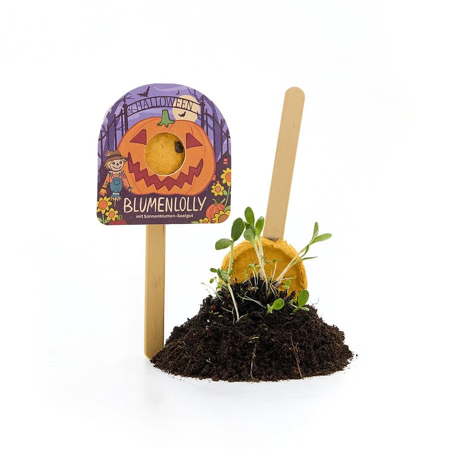 Halloween - Blumenlolly - Sonnenblume TDJ Stadtgärtner GmbH - malmichbuntbest.com