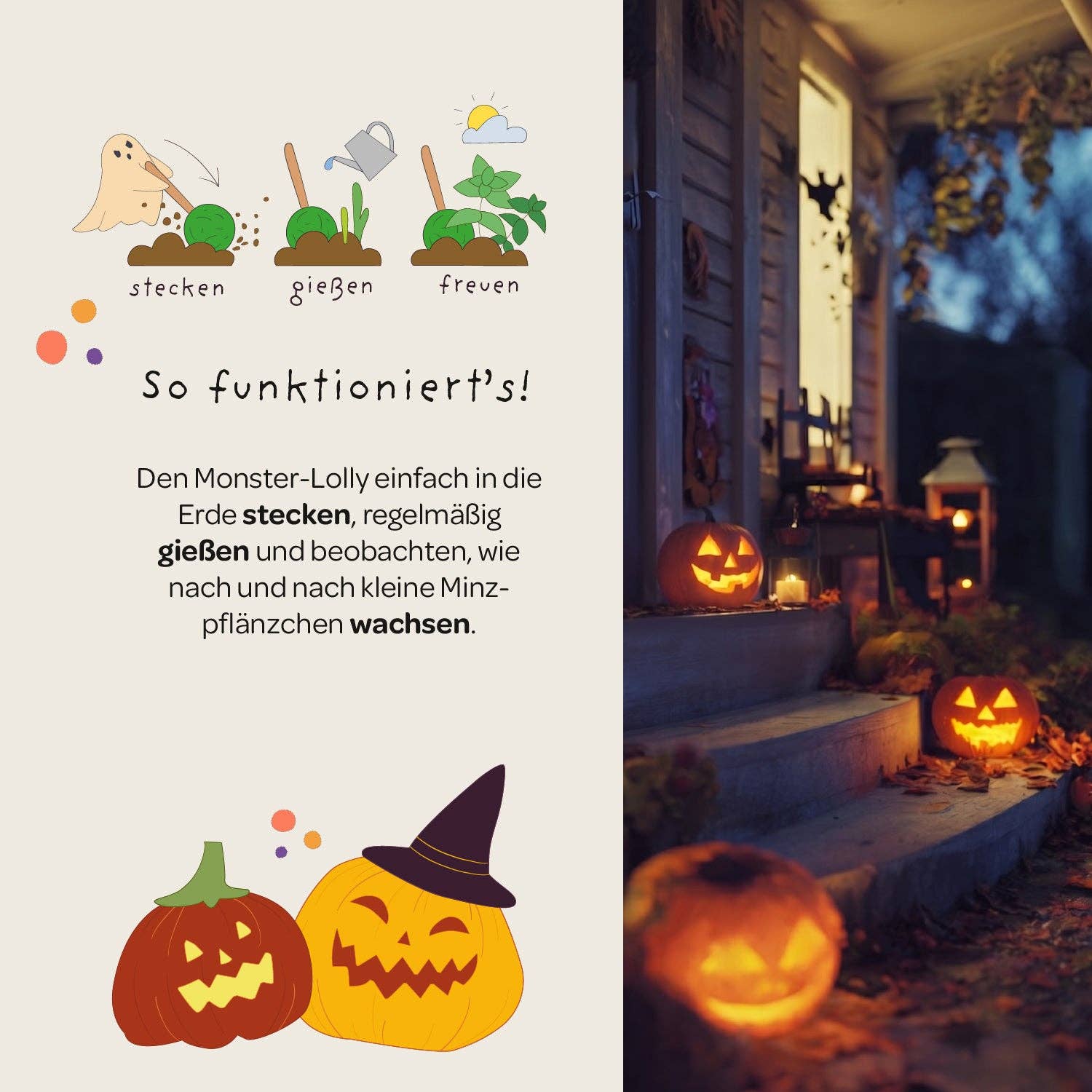 Halloween - Monsterlolly - Minze TDJ Stadtgärtner GmbH - malmichbuntbest.com