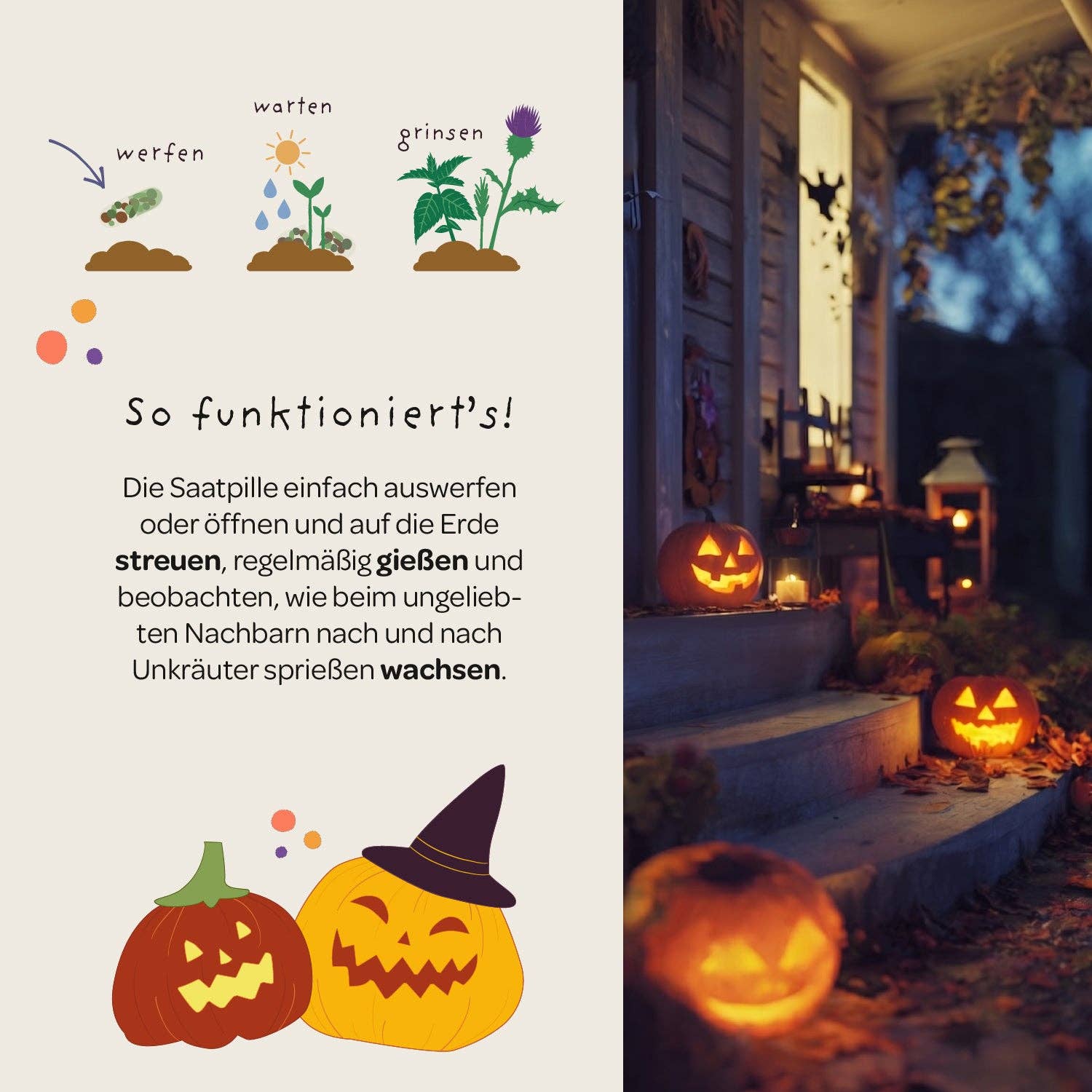 Halloween Saatpille "Süßes oder Saures" - Saures TDJ Stadtgärtner GmbH - malmichbuntbest.com