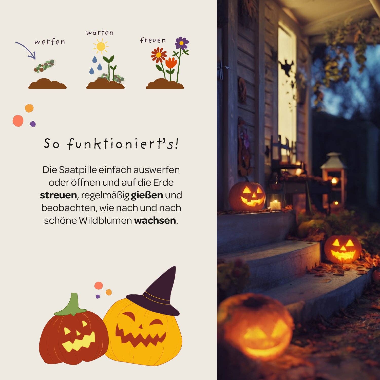 Halloween Saatpille "Süßes oder Saures" - Süßes TDJ Stadtgärtner GmbH - malmichbuntbest.com
