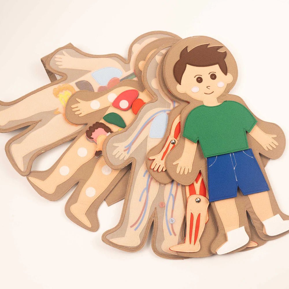 Jolly Designs Travel Buddy Mein Körper - Jungen Jolly Designs - malmichbuntbest.com