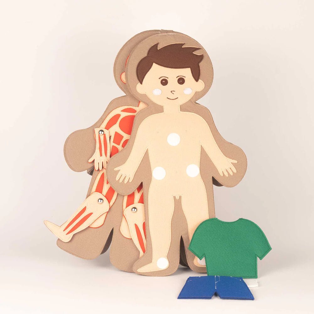 Jolly Designs Travel Buddy Mein Körper - Jungen Jolly Designs - malmichbuntbest.com