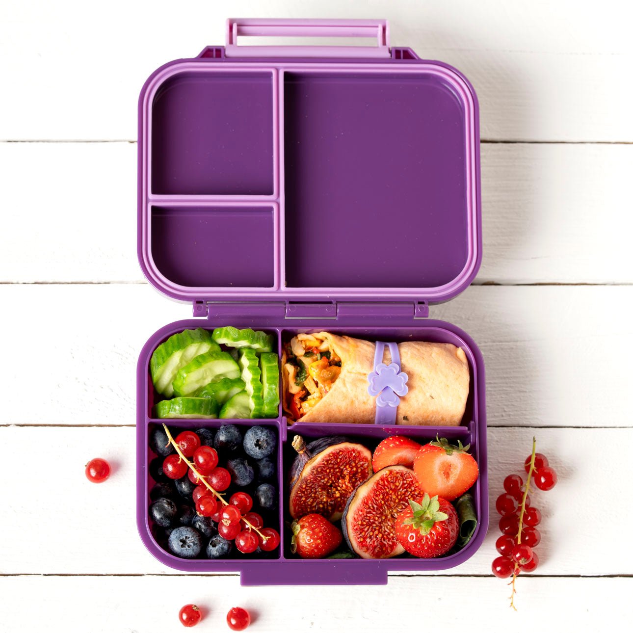 LEKKABOX® Loop Wrapbänder - Lavender Lekkabox - malmichbuntbest.com