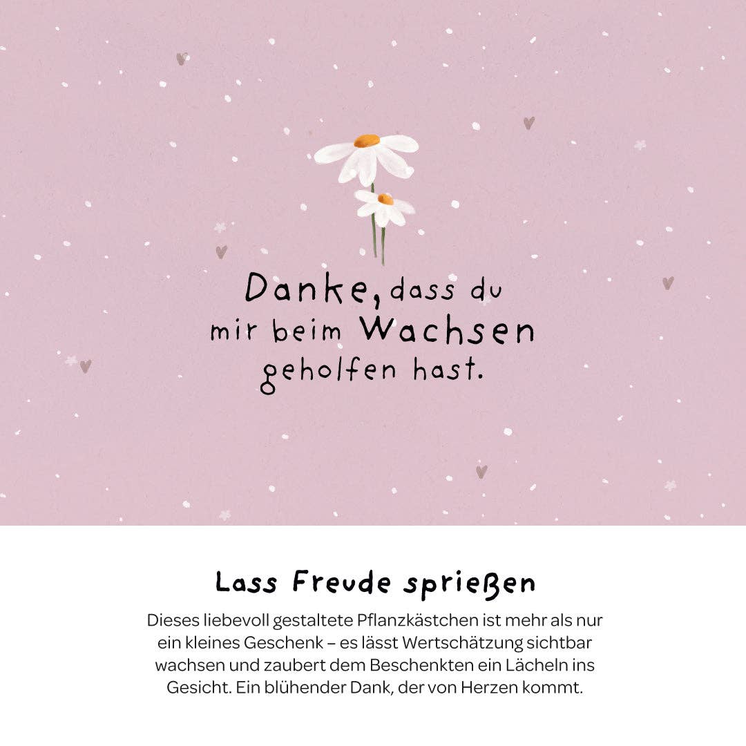 Pflanzkästchen - Danke wachsen TDJ Stadtgärtner GmbH - malmichbuntbest.com