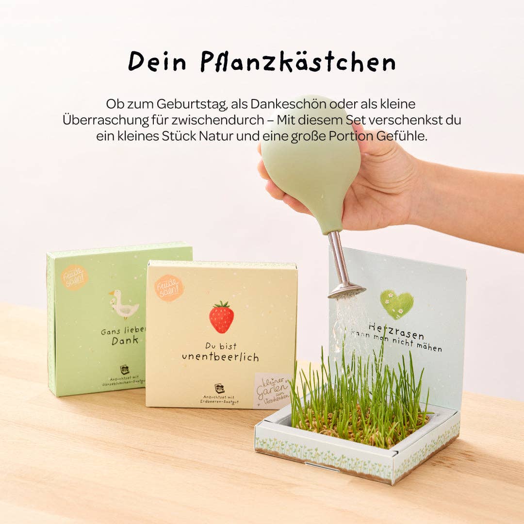 Pflanzkästchen - Danke wachsen TDJ Stadtgärtner GmbH - malmichbuntbest.com