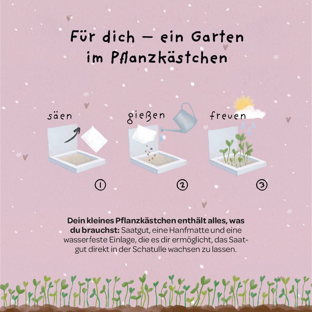 Pflanzkästchen - Danke wachsen TDJ Stadtgärtner GmbH - malmichbuntbest.com