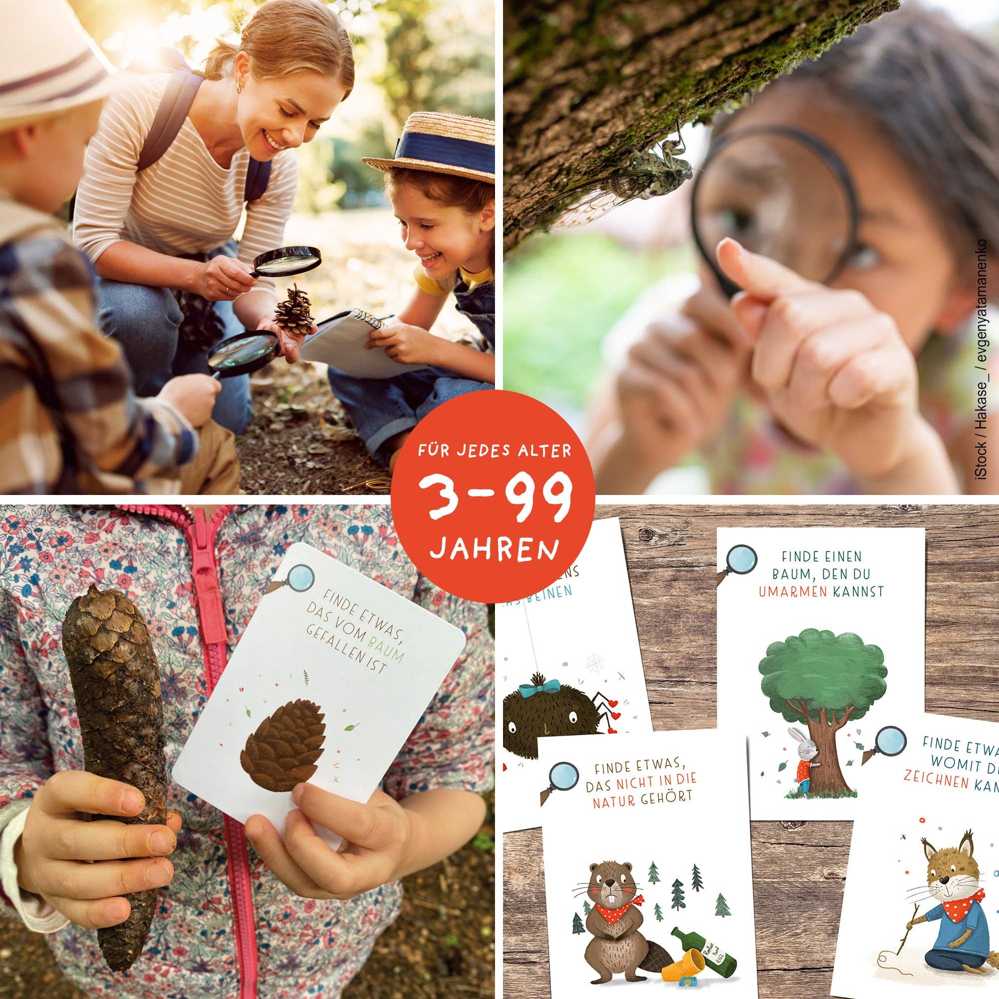 Suchen & Finden – Entdeckerkarten für Kinder Rüsselfuchs - malmichbuntbest.com