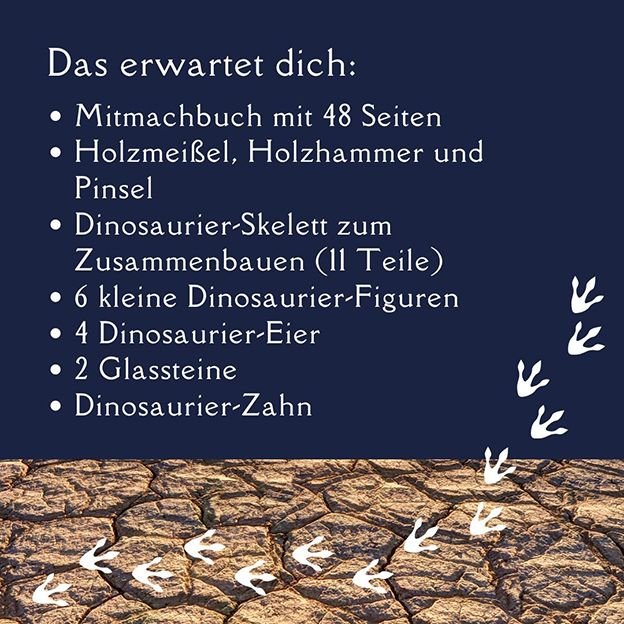 Topp Verlag Ausgrabungsadventskalender - Dinosaurier TOPP Verlag - malmichbuntbest.com