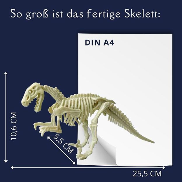 Topp Verlag Ausgrabungsadventskalender - Dinosaurier TOPP Verlag - malmichbuntbest.com